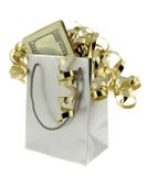Money in Silver Gift Bag