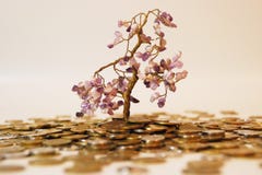Money Tree Royalty Free Stock Image