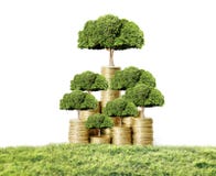 Money tree growing from coins royalty free stock photo Money tree growing from coins royalty free stock photo