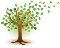 Free Money Tree Logo Royalty Free Stock Images - 46372299