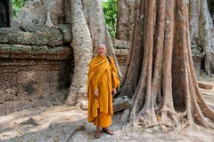 Monge em Ta Prohm fotografia de stock Monge em Ta Prohm fotografia de stock
