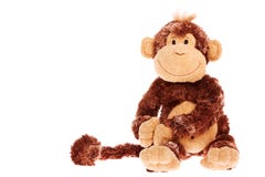 Monkey Stock Images