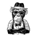Monkey битник с crossedin оружий в шляпе, рубашке, стеклах и бабочке иллюстрация вектора Monkey битник с crossedin оружий в шляпе, рубашке, стеклах и бабочке иллюстрация вектора