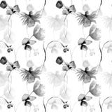 Monochromatyczny kwiecisty bezszwowy wzór z Gerbera i maczkiem kwitnie ilustracji Monochromatyczny kwiecisty bezszwowy wzór z Gerbera i maczkiem kwitnie ilustracji