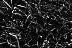 A black and white abstract background of tiny elements royalty free stock photography A black and white abstract background of tiny elements royalty free stock photography