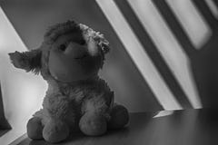 Monochrome Lamb Toy Sitting By The Window In Shadows Stock Photography Monochrome Lamb Toy Sitting By The Window In Shadows Stock Photography