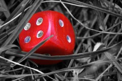 Monochrome Red Highlighted Dice On The Grass, Chance For Winning Stock Photo