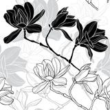Monochrome безшовная предпосылка с магнолией бесплатная иллюстрация Monochrome безшовная предпосылка с магнолией бесплатная иллюстрация