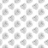 Monstera leaf tropical plant ink line art hand drawn sketch seamless pattern texture background vector Stock Photography Monstera leaf tropical plant ink line art hand drawn sketch seamless pattern texture background vector Stock Photography