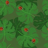 Monstera verlaat naadloos patroon met lieveheersbeestjes Vectortextuur van tropische bladeren stock illustratie Monstera verlaat naadloos patroon met lieveheersbeestjes Vectortextuur van tropische bladeren stock illustratie
