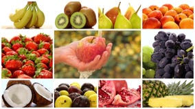 Montagem diversa dos frutos Montagem diversa dos frutos