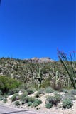Montagem Lemmon, Tucson, o Arizona, Estados Unidos imagens de stock Montagem Lemmon, Tucson, o Arizona, Estados Unidos imagens de stock