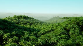 Montagna, paesaggio del campo con le palme giungla Animazione realistica 4K Siluetta dell'uomo Cowering di affari Montagna, paesaggio del campo con le palme giungla Animazione realistica 4K Siluetta dell'uomo Cowering di affari