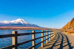 Montagne de Fujisan ou de Fuji dans la lumi?re de lever de soleil au lac Yamanaka, pr?fecture de Yamanashi Japon photo stock Montagne de Fujisan ou de Fuji dans la lumi?re de lever de soleil au lac Yamanaka, pr?fecture de Yamanashi Japon photo stock