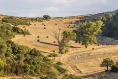 Montagne di Corbieres, Francia fotografia stock libera da diritti Montagne di Corbieres, Francia fotografia stock libera da diritti