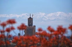 Montagne di Marrakesh, moschea, Marocco magico fotografie stock libere da diritti Montagne di Marrakesh, moschea, Marocco magico fotografie stock libere da diritti