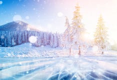 Montagne maestose del paesaggio misterioso di inverno nell'inverno Albero innevato di inverno magico Cartolina d'auguri della fot immagine stock libera da diritti Montagne maestose del paesaggio misterioso di inverno nell'inverno Albero innevato di inverno magico Cartolina d'auguri della fot immagine stock libera da diritti