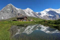 Montan@as Suiza de Eiger, de Monch y de Jungfrau Bernese