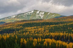 Montana Fall imagem de stock Montana Fall imagem de stock