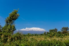 Montanha de Kilimanjaro fotografia de stock royalty free Montanha de Kilimanjaro fotografia de stock royalty free
