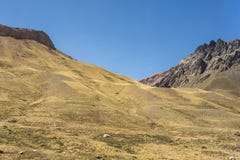 Montanhas de Andes do chileno com campos amarelos imagens de stock Montanhas de Andes do chileno com campos amarelos imagens de stock