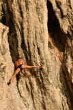 Montanhista de rocha do ancião sem uma suspensão líquida no penhasco com suas mãos Rai Leh ou Railay, praia de Phra Nang, Krabi, imagem de stock Montanhista de rocha do ancião sem uma suspensão líquida no penhasco com suas mãos Rai Leh ou Railay, praia de Phra Nang, Krabi, imagem de stock