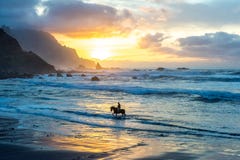Montar a caballo del hombre en la playa de la puesta del sol fotografía de archivo Montar a caballo del hombre en la playa de la puesta del sol fotografía de archivo