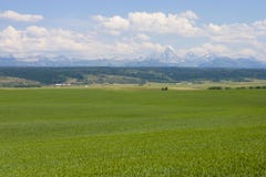 Montaña de Teton con el pasto y el campo verdes foto de archivo Montaña de Teton con el pasto y el campo verdes foto de archivo