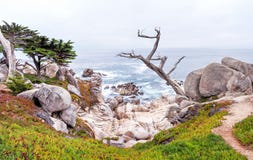 Monterey 17 mil przejażdżka w Kalifornia zdjęcie royalty free Monterey 17 mil przejażdżka w Kalifornia zdjęcie royalty free