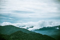 Monteverde Коста-Рика стоковое фото rf Monteverde Коста-Рика стоковое фото rf