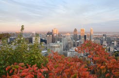 Montreal de stad in stock afbeeldingen Montreal de stad in stock afbeeldingen