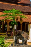 A monument of an elephant . Siemreap,Cambodia. royalty free stock photo A monument of an elephant . Siemreap,Cambodia. royalty free stock photo