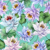 Mooi bloemen naadloos patroon Grote kleurrijke lotusbloembloemen met bladeren op turkooise achtergrond Hand getrokken illustratie vector illustratie Mooi bloemen naadloos patroon Grote kleurrijke lotusbloembloemen met bladeren op turkooise achtergrond Hand getrokken illustratie vector illustratie