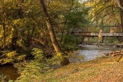 Mooi de herfstpark waarin de mensen lopen stock fotografie Mooi de herfstpark waarin de mensen lopen stock fotografie