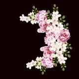 Mooi helder waterverfboeket met pioenbloemen vector illustratie Mooi helder waterverfboeket met pioenbloemen vector illustratie