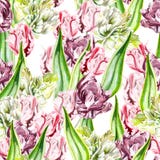 Mooi naadloos patroon van roze en purpere tulpen Royalty-vrije Stock Foto Mooi naadloos patroon van roze en purpere tulpen Royalty-vrije Stock Foto