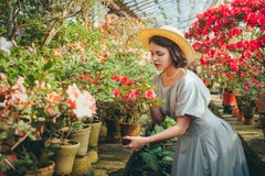Mooi volwassen meisje in een azaleaserre die in een mooie retro kleding en een hoed dromen royalty-vrije stock fotografie Mooi volwassen meisje in een azaleaserre die in een mooie retro kleding en een hoed dromen royalty-vrije stock fotografie
