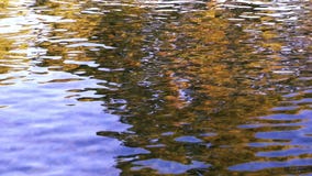 Mooi Zeewateraard en Vakantieconcept Mooi Zeewateraard en Vakantieconcept