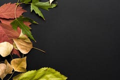 Mooie de herfstachtergrond Stock Afbeelding Mooie de herfstachtergrond Stock Afbeelding