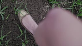 Mooie die vrouwen over de groene gebiedscamera in werking worden gesteld stock video Mooie die vrouwen over de groene gebiedscamera in werking worden gesteld stock video