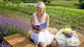 Mooie glimlachende vrouw die picknick op gebied hebben en boek lezen stock foto's Mooie glimlachende vrouw die picknick op gebied hebben en boek lezen stock foto's