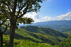 Mooie groene berg in wintertijd van Thailand royalty-vrije stock foto Mooie groene berg in wintertijd van Thailand royalty-vrije stock foto