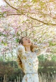 Mooie Mooie Kaukasische Vrouw in Kleding het Bevindende Stellen op de Achtergrond van de Bloeiende Kers van Japan stock foto's Mooie Mooie Kaukasische Vrouw in Kleding het Bevindende Stellen op de Achtergrond van de Bloeiende Kers van Japan stock foto's