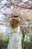 Mooie Mooie Kaukasische Vrouw in Kleding het Bevindende Stellen op de Achtergrond van de Bloeiende Kers van Japan royalty-vrije stock afbeelding Mooie Mooie Kaukasische Vrouw in Kleding het Bevindende Stellen op de Achtergrond van de Bloeiende Kers van Japan royalty-vrije stock afbeelding