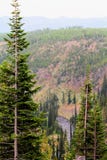 Mooie klippen van het Yellowstone de Nationale Park met rotsen en mos en bossen stock foto Mooie klippen van het Yellowstone de Nationale Park met rotsen en mos en bossen stock foto