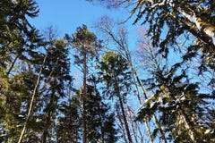 Mooie landschappen van Russische Europese aard Landschappen van alle seizoenen royalty-vrije stock afbeeldingen Mooie landschappen van Russische Europese aard Landschappen van alle seizoenen royalty-vrije stock afbeeldingen