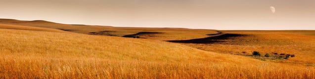 Mooie Panoramische Scène van Gouden de Prairiedomein van Zonsopgangkansas Tallgrass royalty-vrije stock foto Mooie Panoramische Scène van Gouden de Prairiedomein van Zonsopgangkansas Tallgrass royalty-vrije stock foto