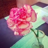 Mooie roze bloem op de lijst royalty-vrije stock fotografie Mooie roze bloem op de lijst royalty-vrije stock fotografie