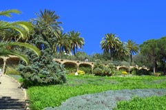 Mooie tuin, Park Guell, Barcelona royalty-vrije stock fotografie Mooie tuin, Park Guell, Barcelona royalty-vrije stock fotografie