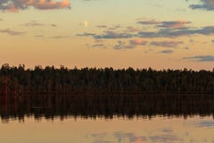 Moon above the dark night forest near the lake. Mystical fantastic fabulous image stock photos Moon above the dark night forest near the lake. Mystical fantastic fabulous image stock photos